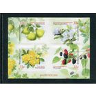 Россия 2025. Флора. Растения Крымского полуострова. Нижний квартблок листа