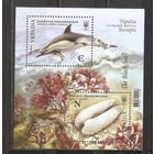 ФФ1 Украина 2017 Дельфин