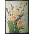 СССР 1988 открытка цветы, провизорий Минск 15р.  зак.130440.