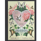 Мадагаскар 2014 ** Фауна  Бабочки Блок