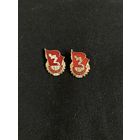 Отличник ГТО 1 Разновидности