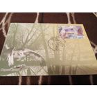 КПД 2007г. Птицы.