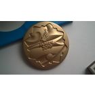 2019 Вторые европейские игры МЕДАЛЬ