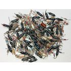 Стеклянные диоды