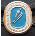 Прыжки с трамплина. Ас-25