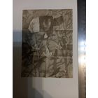 Гравюра Экслибрис Agaath VaN Waterschoot