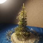 Елочка Малютка 6 елка СССР темно-зеленая