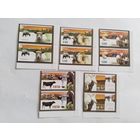 Беларусь 2007  5 м дом.животные