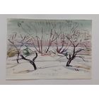 Акварель 17х25