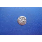 Полугрош 1521                              (65)