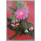 С Новым годом! Открытка, подписана, 1987г. Румыния