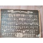 Фотография двадцатый выпуск Минского педагогического института имени А.М. Горького 1949-1953