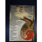 Календарик 1999 г.  Как мало надо, чтобы удивить.