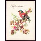 1980 год Л.Манилова Поздравляю! чист