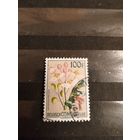 1952 бельгийское колония Конго флора цветы концовка серии (2-8)