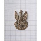 Кокарда Польша