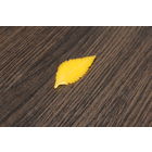 Пластиковая брошь "Листок".