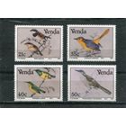 ЮАР. Венда. Фауна. Птицы