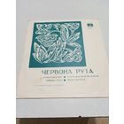 Миньон гибкий - В. Андросов, ВИА "Корабели", Н. Матвиенко - Червона рута - ВСГ