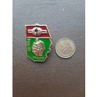 Значок легкий ЗКВ Гродно