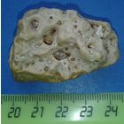 Минерал, окаменелость, с включением других кристалов, не частый