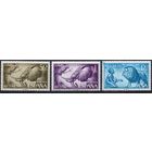 Испанская колония Рио Муни 1966. Фауна. 3 марки Mi 69-71