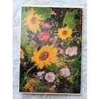 Шишко. Подсолнухи