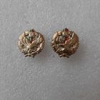 Эмблемы пограничные войска ПВ пограничная служба ПС РБ Беларусь