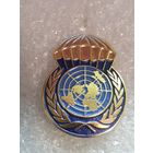 Миротворческая рота Беларусь*