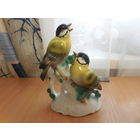 Две синички на ветке.  Германия WKC