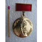 Знак. 30 лет СКВВ. Юбилейный знак. тяжёлый