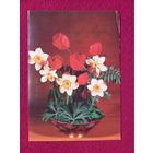 8 Марта! Круцко 1982 г.