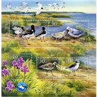 Черноморский биосферный заповедник Фауна Птицы Украина 2002 **