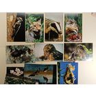 Березинский заповедник 14 штук 2003 год