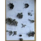 Транзисторы (полупроводниковые триоды) одним лотом.