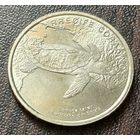 Коста-Рика 50 колонов, 2023   Морская черепаха Хоксбилл    ( 2-8-4 )