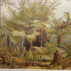 Farne I. ХРОМОЛИТОГРАФИЯ. Германия.30.5х24.5см.    19-20в.