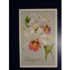 Поздравляем!  Ирисы.  1976 г.  подписанная.