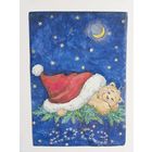 Зейналова 2002 Годовик С новым годом