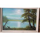 Картина м\х дублирован на двп 320 на 200