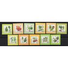 Беларусь 2004. Стандарт 8-й выпуск. Флора 11 марок  (287)