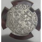 Драйпёлькер 1669 Рига Шведская оккупация Редкий MS64