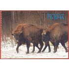 Беларусь 2009 Беловежская пуща фауна зубры из буклета /прошла почту /