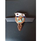 Знак  сверхсрочника ВМФ СССР.