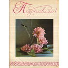 Подписанная открытка 1968г. БССР "Поздравляю! Композиция из цветов" худ. В. Пастушков, фото А. и М. Ананьиных