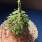 Елочка Малютка 7 елка СССР 15 см