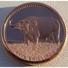 Сомали. 5 шиллингов 2013 год  UC#1