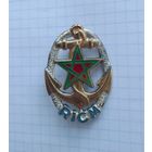 Франция. Бронетанковый полк морской пехоты (G1933)