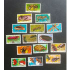 Экваториальная Гвинея 1978 г. Насекомые. Жуки. Фауна #0073-Ф1P15