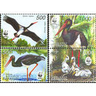Черный аист. WWF Беларусь 2005 год (621-624) серия из 4-х марок